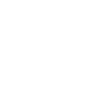 Mountain Painting Company Light Logo